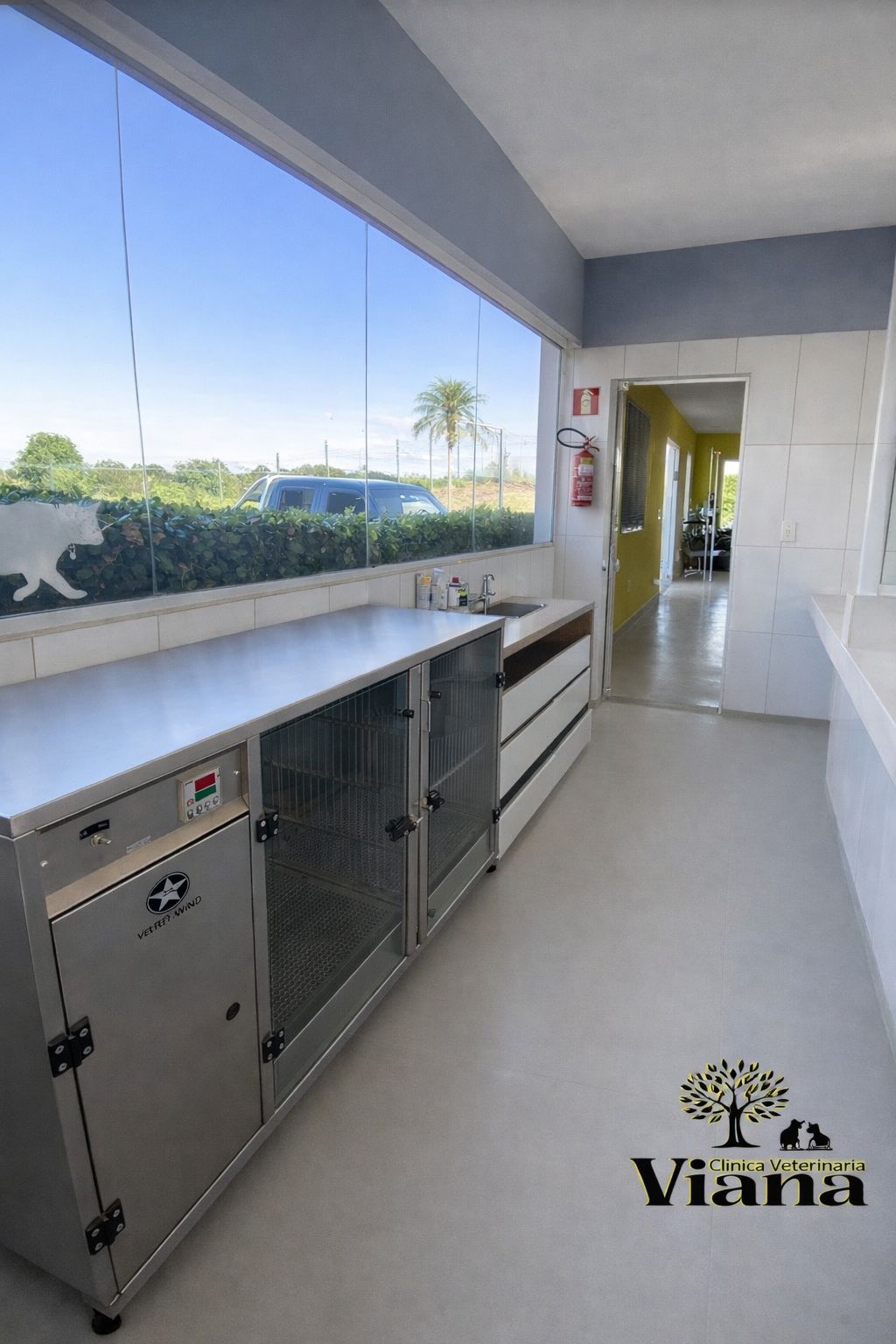 Clínica Veterinária Viana - Foto 3