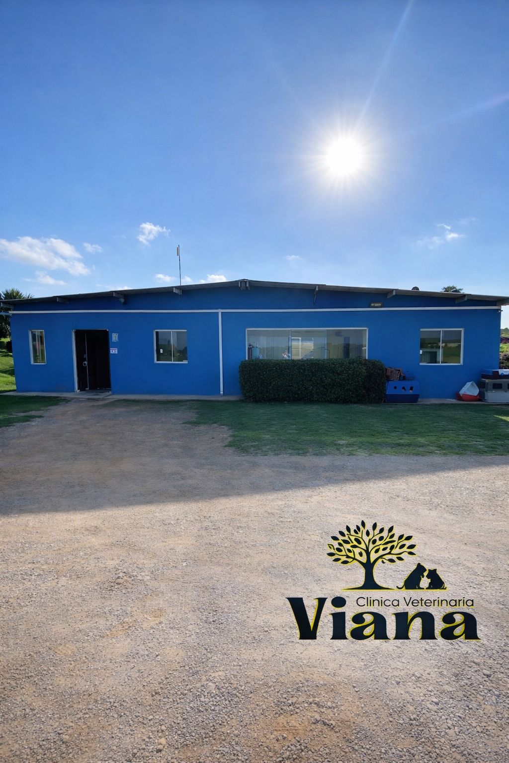 Clínica Veterinária Viana - Foto 5