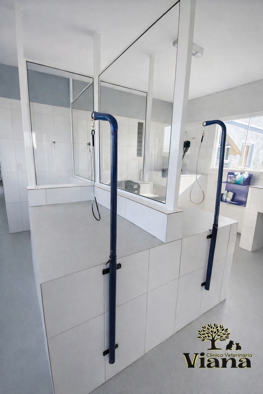 Clínica Veterinária Viana - Foto 8